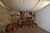 SPN_2462_SMALL