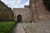 SPN_2467_SMALL
