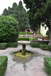 SPN_2471_SMALL
