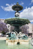 SPN_3975_Sml