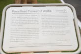 To Alpha 023 Small