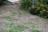To Bowen 041 Small