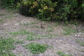 To Bowen 042 Small