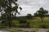 To Bowen 045 Small