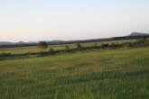 To Brandybottle 010 Small