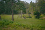Van trip easter22-0228