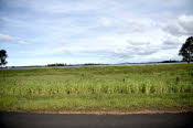 Van trip easter22-0236