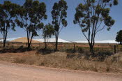 Van trip perth camera 1364