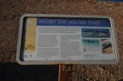 Van trip perth camera 1481