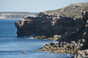 Van trip perth camera 1503
