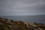 Van trip perth camera 1564