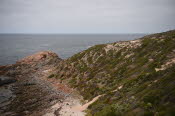 Van trip perth camera 1575