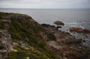 Van trip perth camera 1576