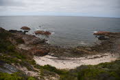 Van trip perth camera 1579