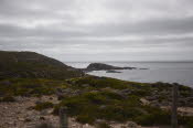 Van trip perth camera 1581