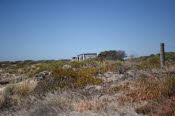 Van trip perth camera 1593