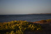 Van trip perth camera 1600