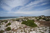 Van trip perth camera 1666