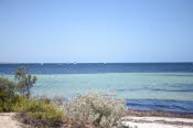 Van trip perth camera 1708