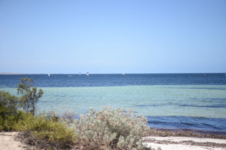 Van trip perth camera 1708
