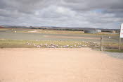 Van trip perth camera 1721