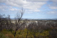 Van trip perth camera 1889