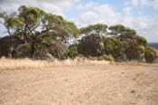 Van trip perth camera 1990