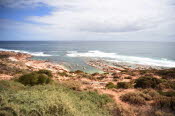 Van trip perth camera 2020