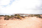 Van trip perth camera 2022