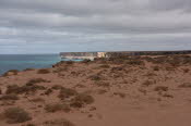 Van trip perth camera 2139