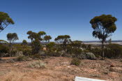 Van trip perth camera 2211