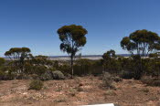 Van trip perth camera 2212