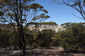 Van trip perth camera 2224