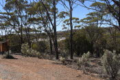 Van trip perth camera 2225