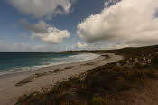 Van trip perth camera 2261