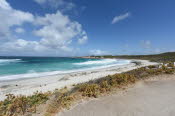 Van trip perth camera 2268
