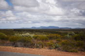Van trip perth camera 2308