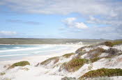 Van trip perth camera 2377