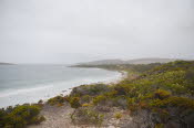 Van trip perth camera 2444