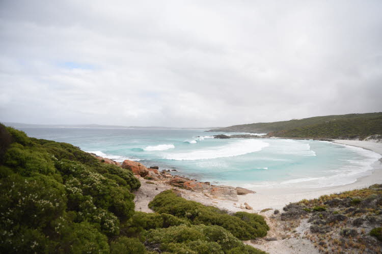 Van trip perth camera 2464