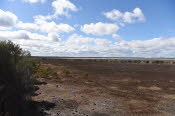 Van trip perth camera 2589