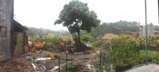 Village 03Corrected sml