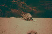 WIN_0368_Small