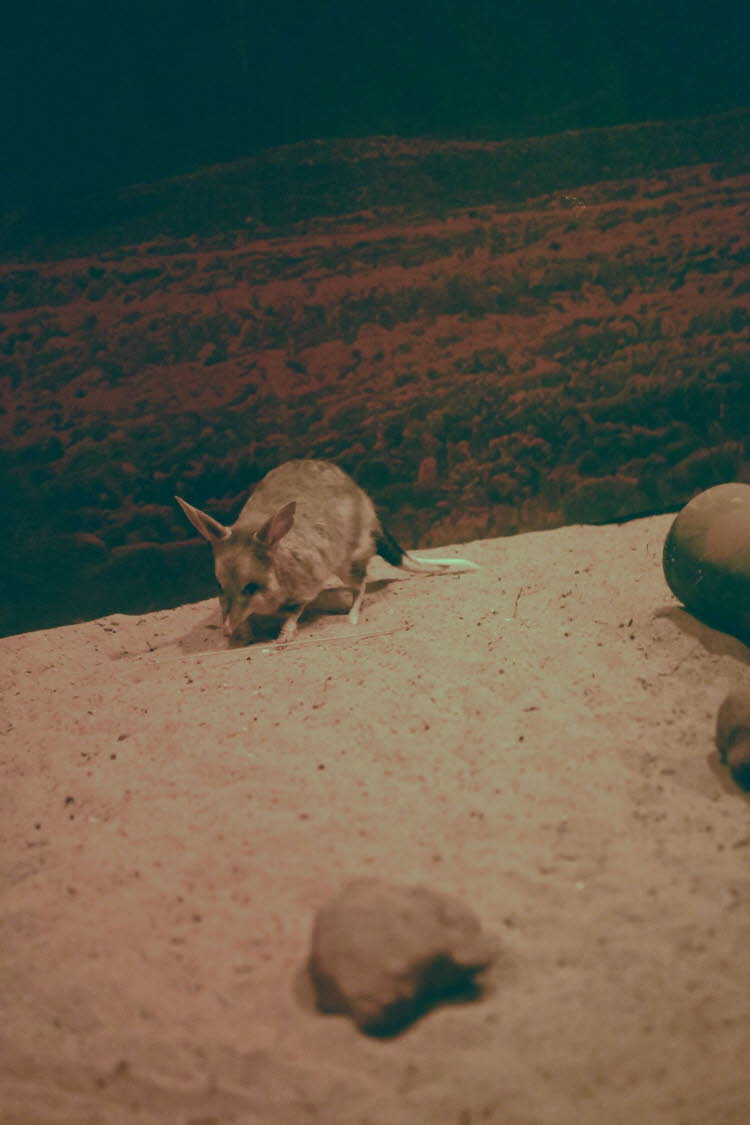 WIN_0373_Small
