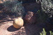 WIN_1210_Small