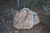 WIN_1211_Small