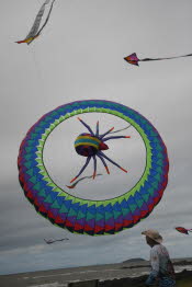 WIN_1702_Small