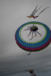 WIN_1703_Small