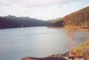 WS2000_008_oz_-c_Acropora_In_Nara_inlet