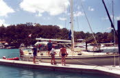 WS2000_028_oz_-b_acropora_at_hamilton